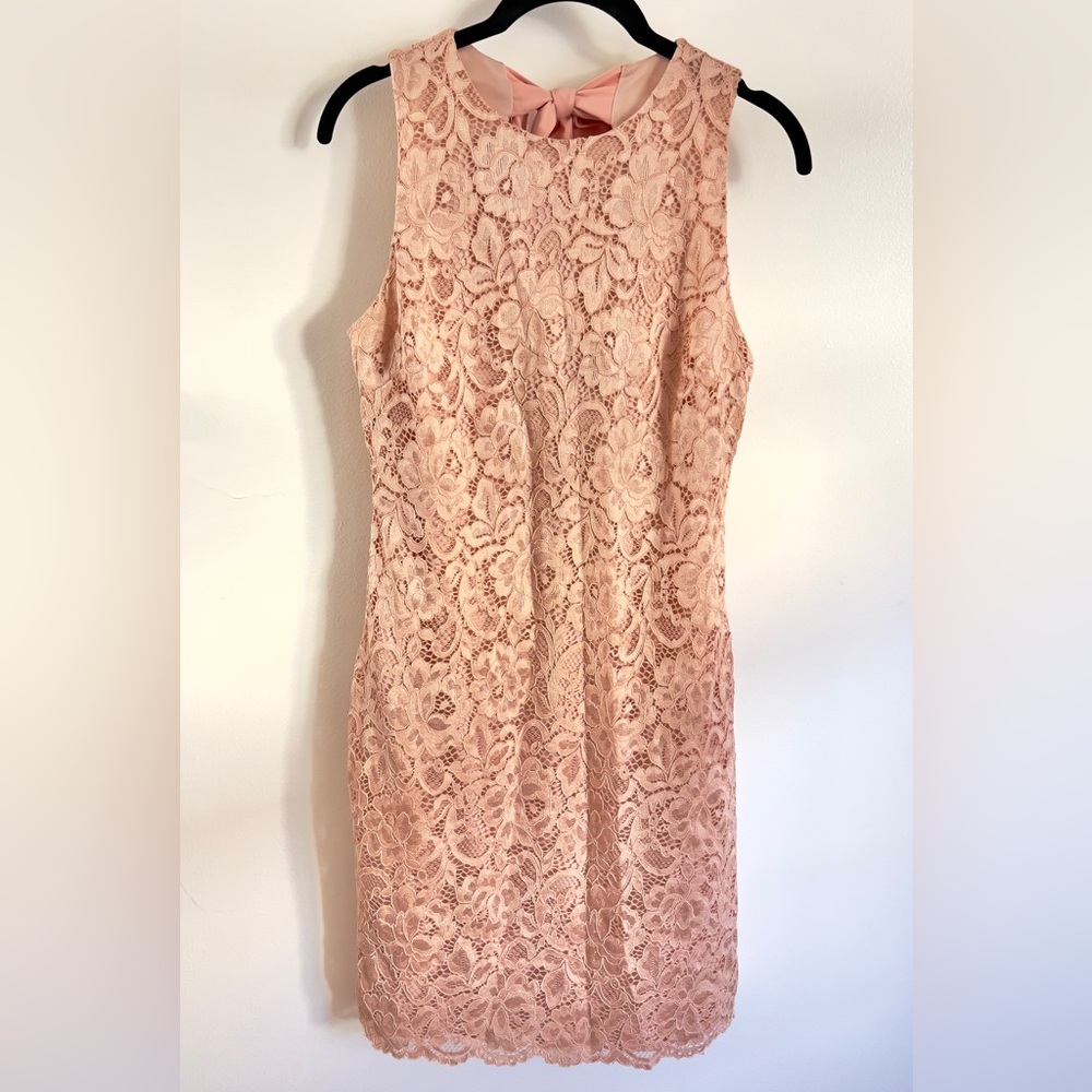 NEW Blush Lace Sheath Dress Sam Edelman